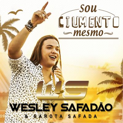 Sou Ciumento Mesmo By Wesley Safadão's cover