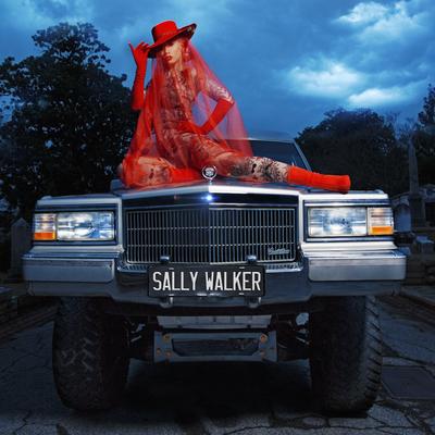 Sally Walker's cover