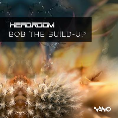 Bob The Build-Up (Original Mix) By Headroom (SA)'s cover