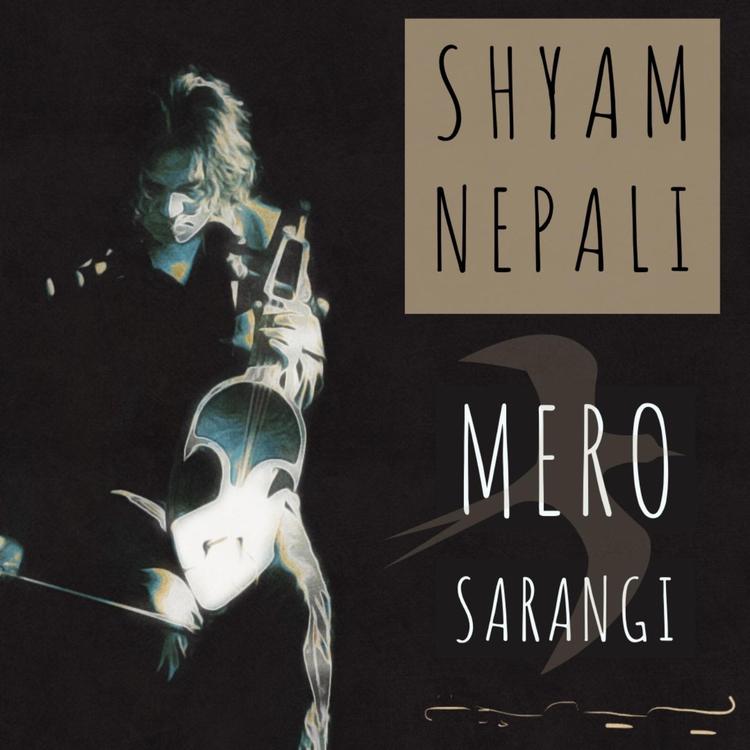 Shyam Nepali's avatar image