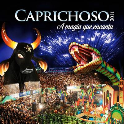 A Cor do Meu País By Boi Bumbá Caprichoso's cover