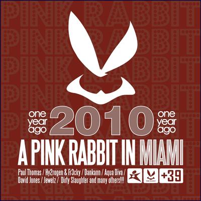 A Pink Rabbit In Miami (2010 One Year Ago)'s cover