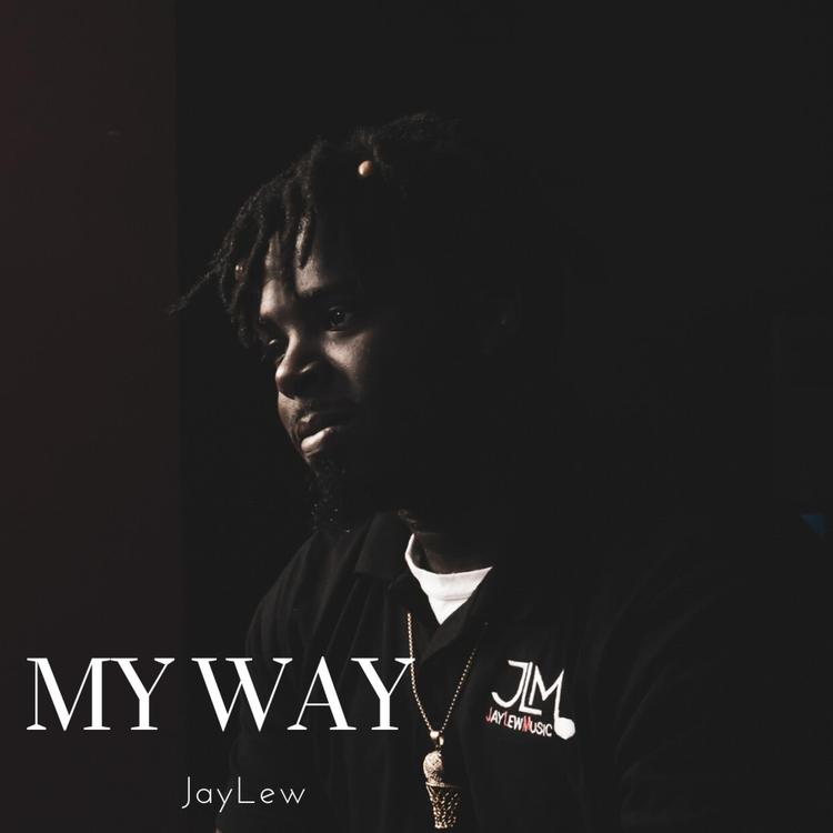 JayLew's avatar image