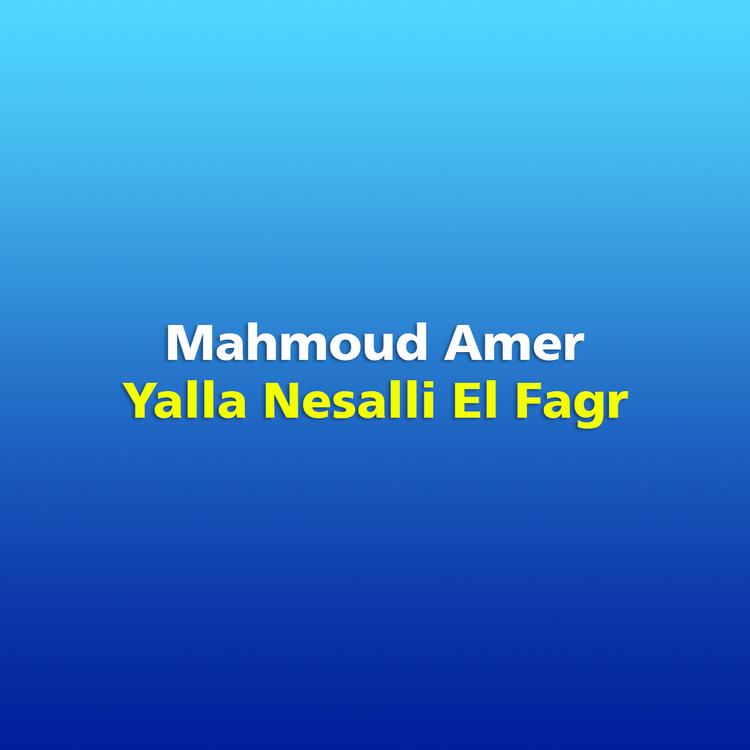 Mahmoud Amer's avatar image