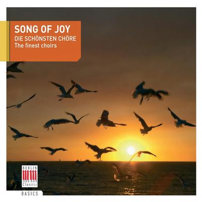 Song of Joy (The finest choirs)'s cover