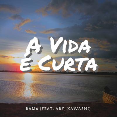 A Vida É Curta's cover