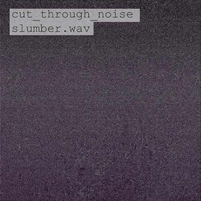Cut Through Noise's avatar image