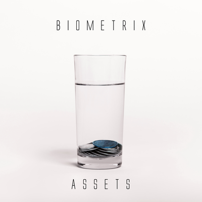 Assets By Biometrix's cover