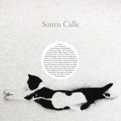 Souris Calle By Jean-Michel Jarre's cover