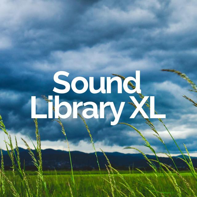 Sound Library XL's avatar image