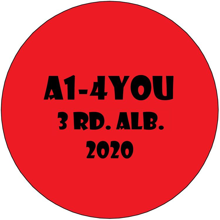 A1-4you's avatar image