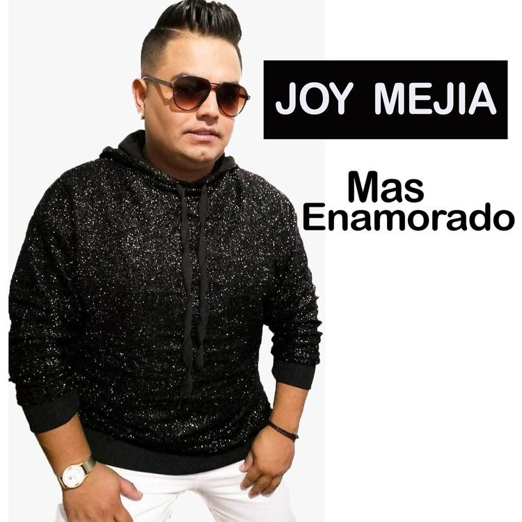Joy Mejia's avatar image