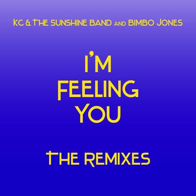 I'm Feeling You - The Remixes's cover