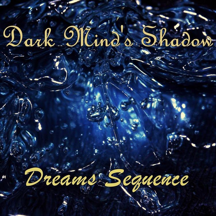 Dark Mind's Shadow's avatar image