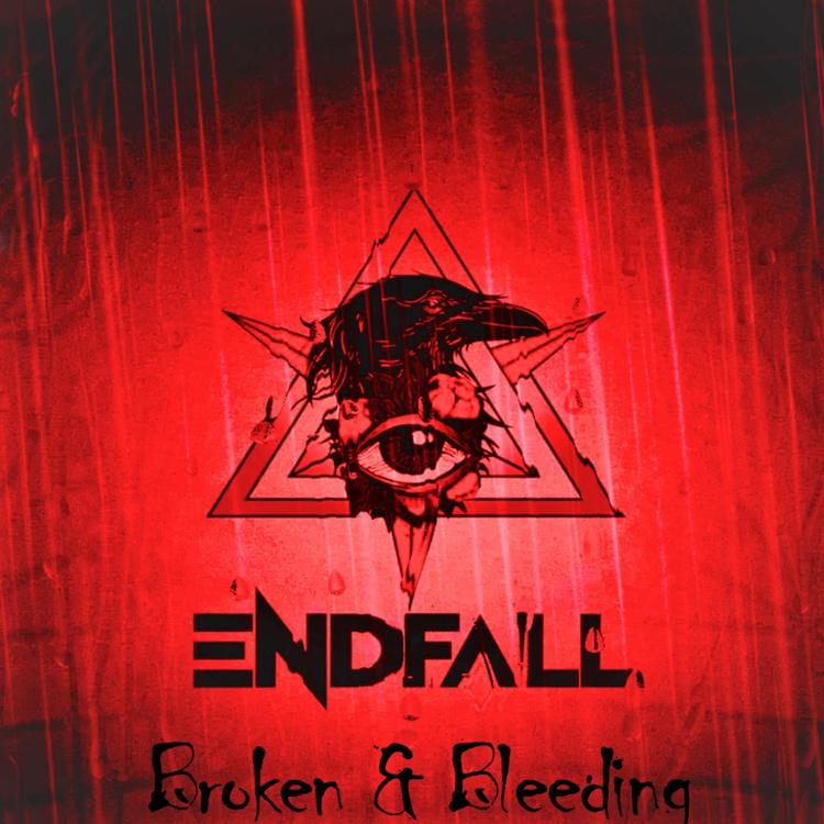 Endfall's avatar image