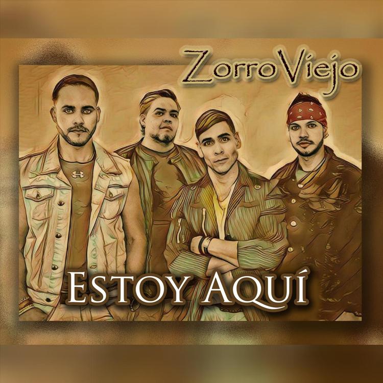 Zorro Viejo's avatar image