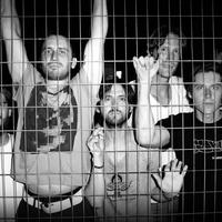 Desaparecidos's avatar cover