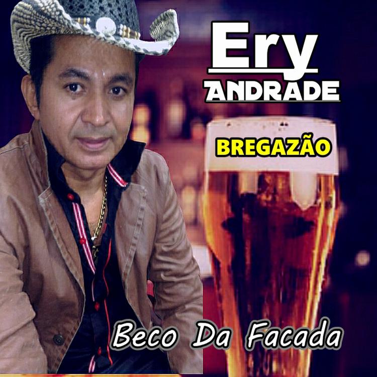 Ery Andrade Bregazão's avatar image