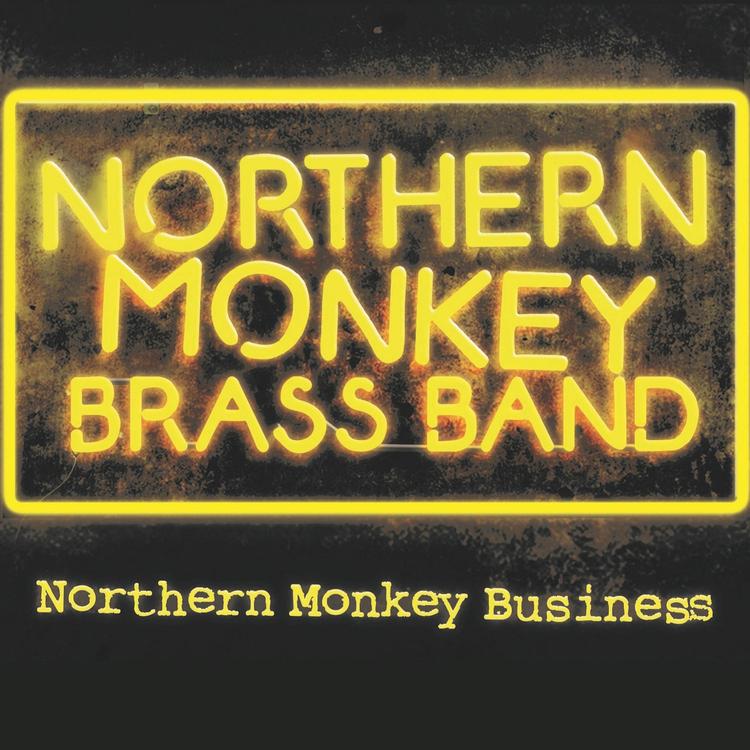 Northern Monkey Brass Band's avatar image