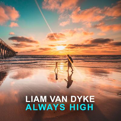 Just Can't Fake It By Liam Van Dyke's cover