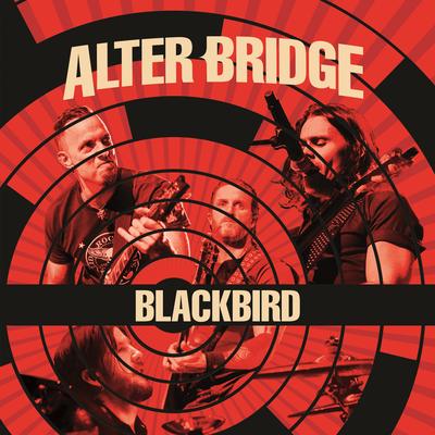 Blackbird (Live)'s cover