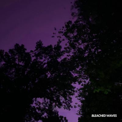 Bleached Waves's cover