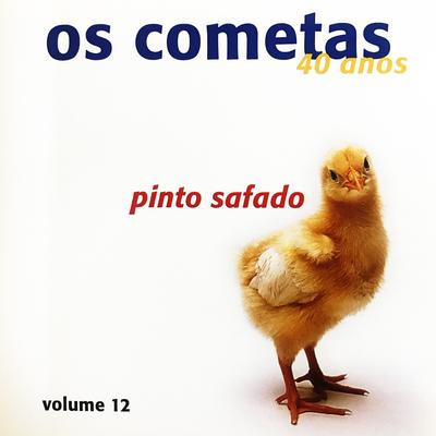 40 Anos - Pinto Safado, Vol. 12's cover