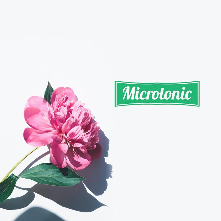 Microtonic's avatar image