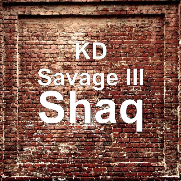 KD Savage III's avatar image