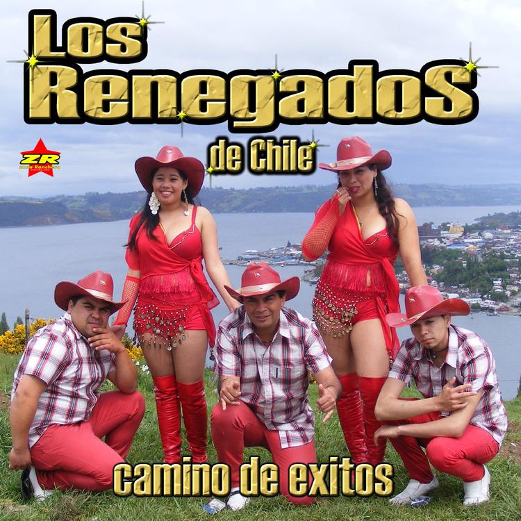 Los Renegados de Chile's avatar image