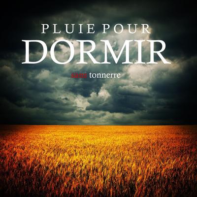 Pluie pour dormir sans tonnerre, pt. 02 By Sons de la Nature Projet France's cover