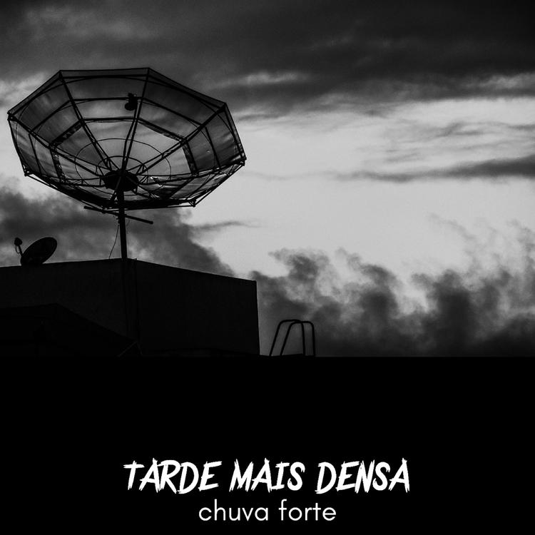 tarde mais densa's avatar image