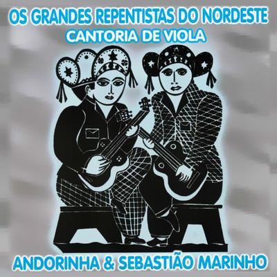 O Que Vale É Boi no Chão By Sebastião Marinho, Andorinha's cover