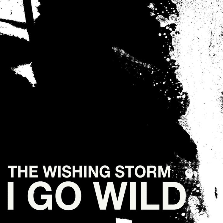 The Wishing Storm's avatar image