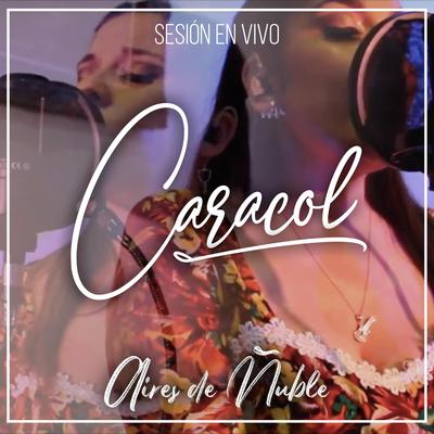 Caracol (Sesión En Vivo)'s cover