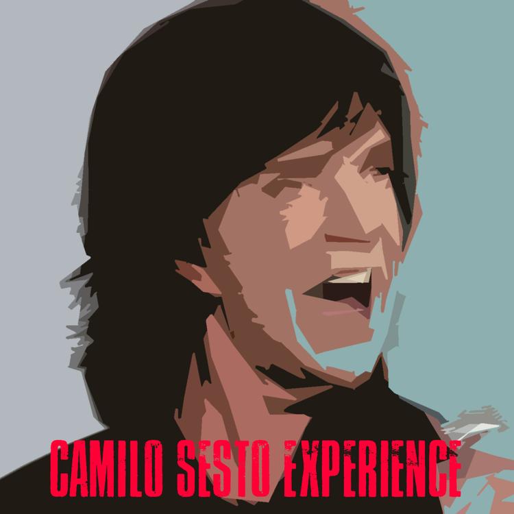 Camilo Sesto Experience's avatar image