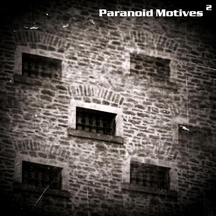 Paranoid Motives's avatar image