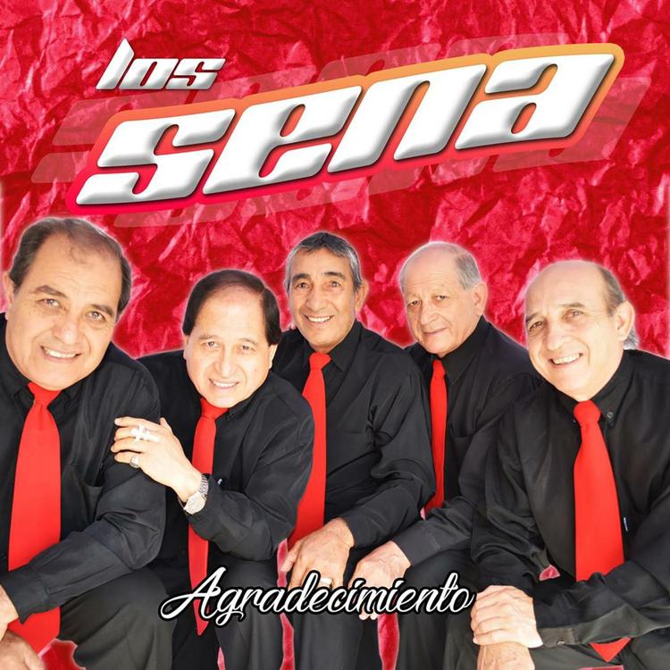 Los Sena's avatar image