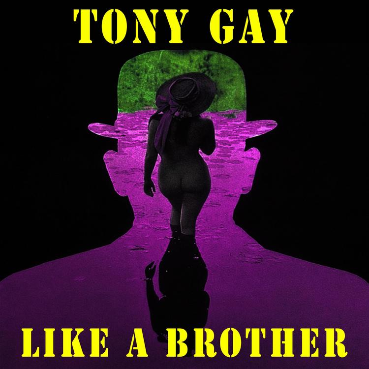 tony gay's avatar image