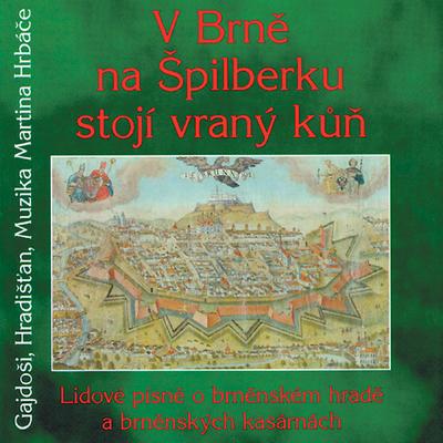 Ta brněnská brána (feat. Alice Holubová)'s cover