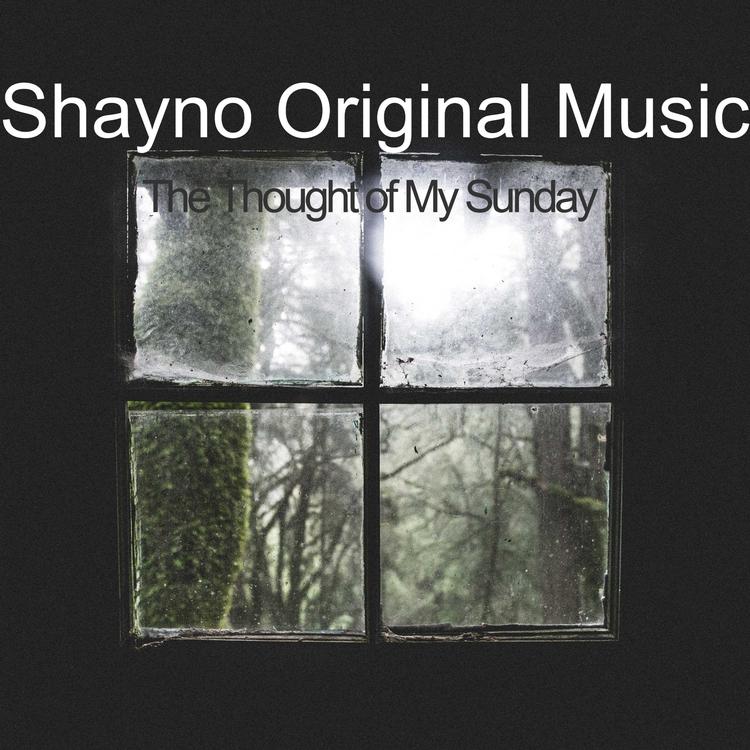 Shayno Original Music's avatar image