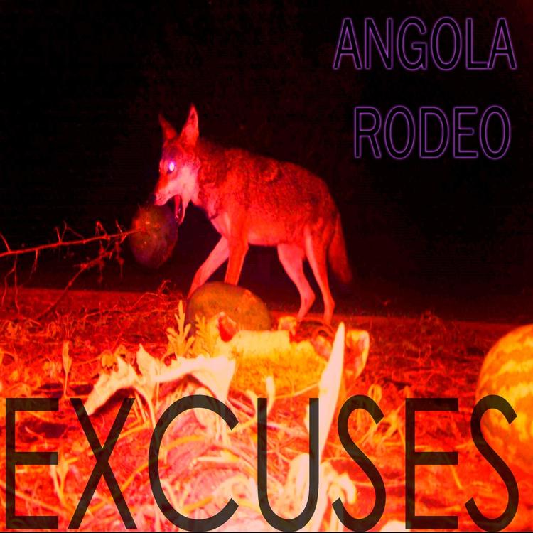 Angola Rodeo's avatar image