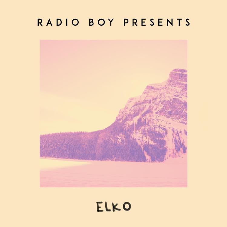 Radio Boy's avatar image