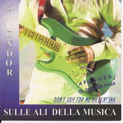 Sulle Ali Della Musica Vol 1's cover