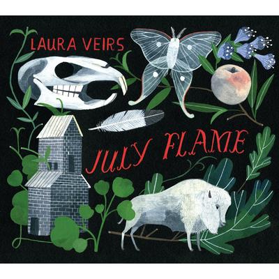 Carol Kaye By Laura Veirs's cover