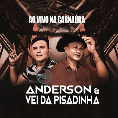 Self Desmantelada (Ao Vivo) By Anderson & Vei da Pisadinha's cover
