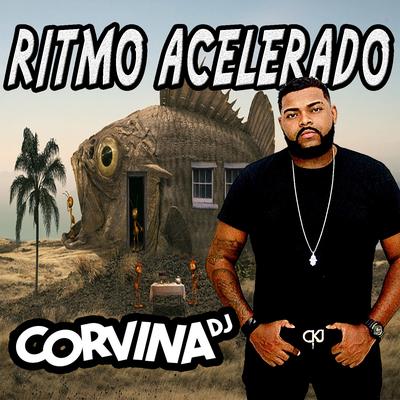 Sequencia Vuk Vuk Do Baile Da Gaiola By Corvina Dj, DJ Cabide's cover