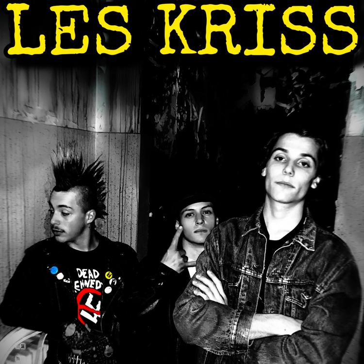 Les Kriss's avatar image