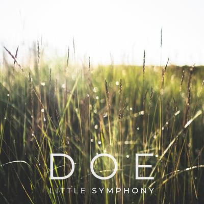 Doe By Little Symphony's cover