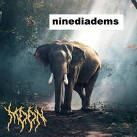 Nine Diadems's avatar cover